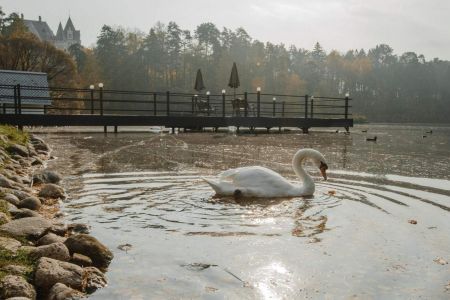 Клинический санаторий "Барвиха"